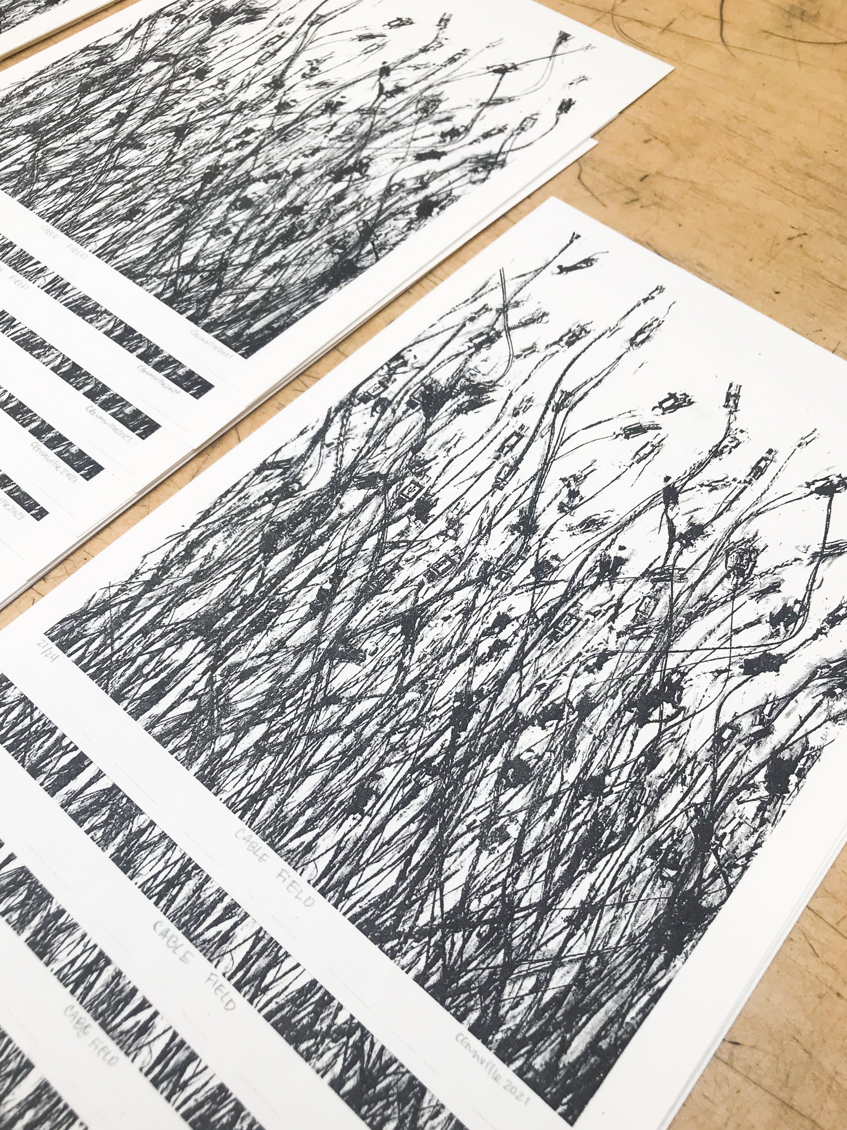 Cable Field Risograph