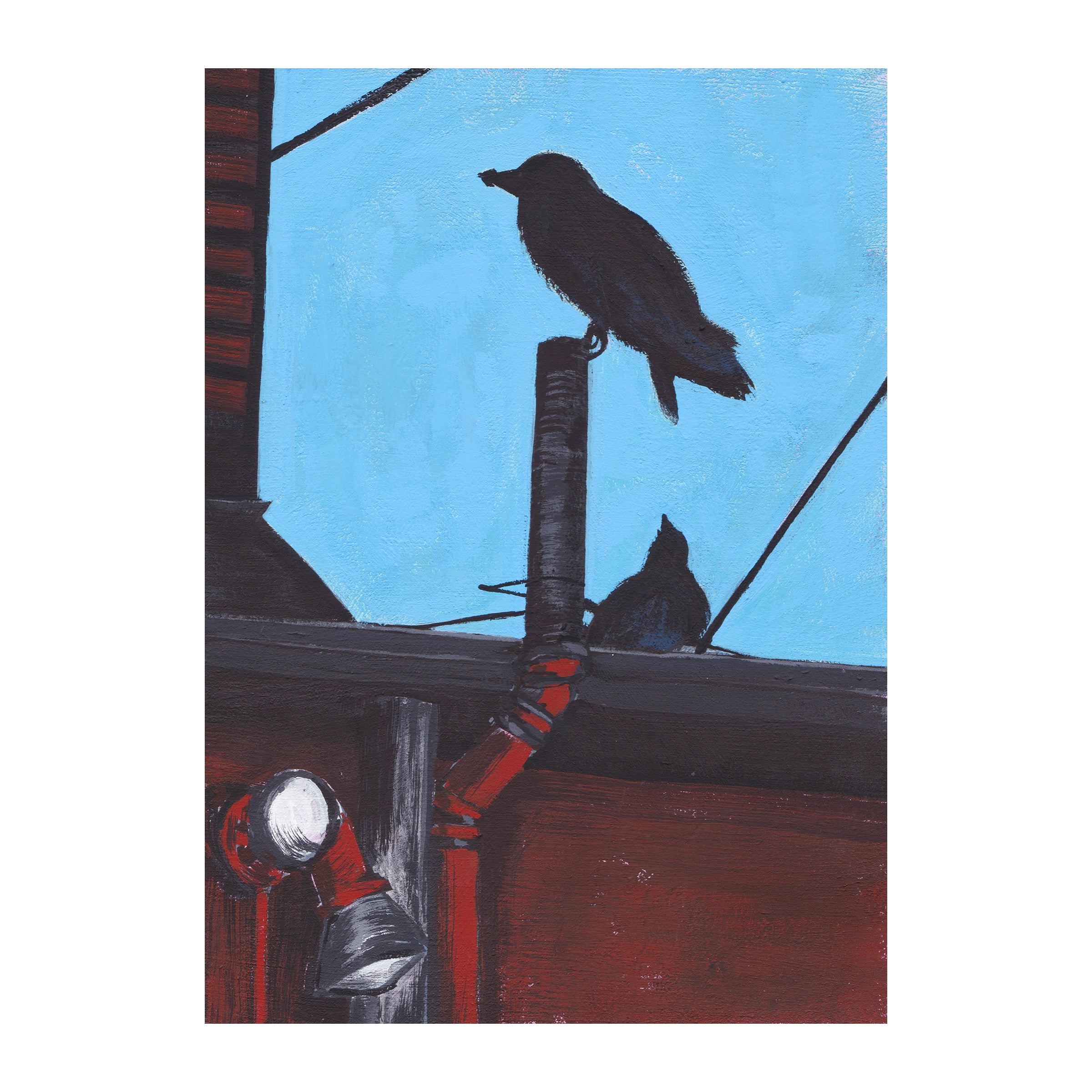 Bird Friends